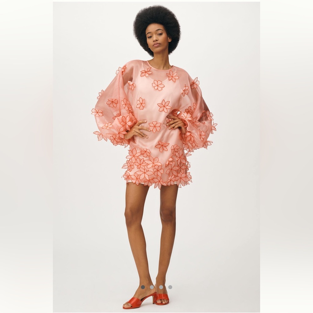 Anthropologie Maeve 3D Floral Sheer Tunic Dress Sz M/L